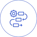 報告書作成・報告会